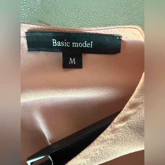 Basic Model Chic Blush Ruffle Sleeve Blouse - Picture 3 of 6